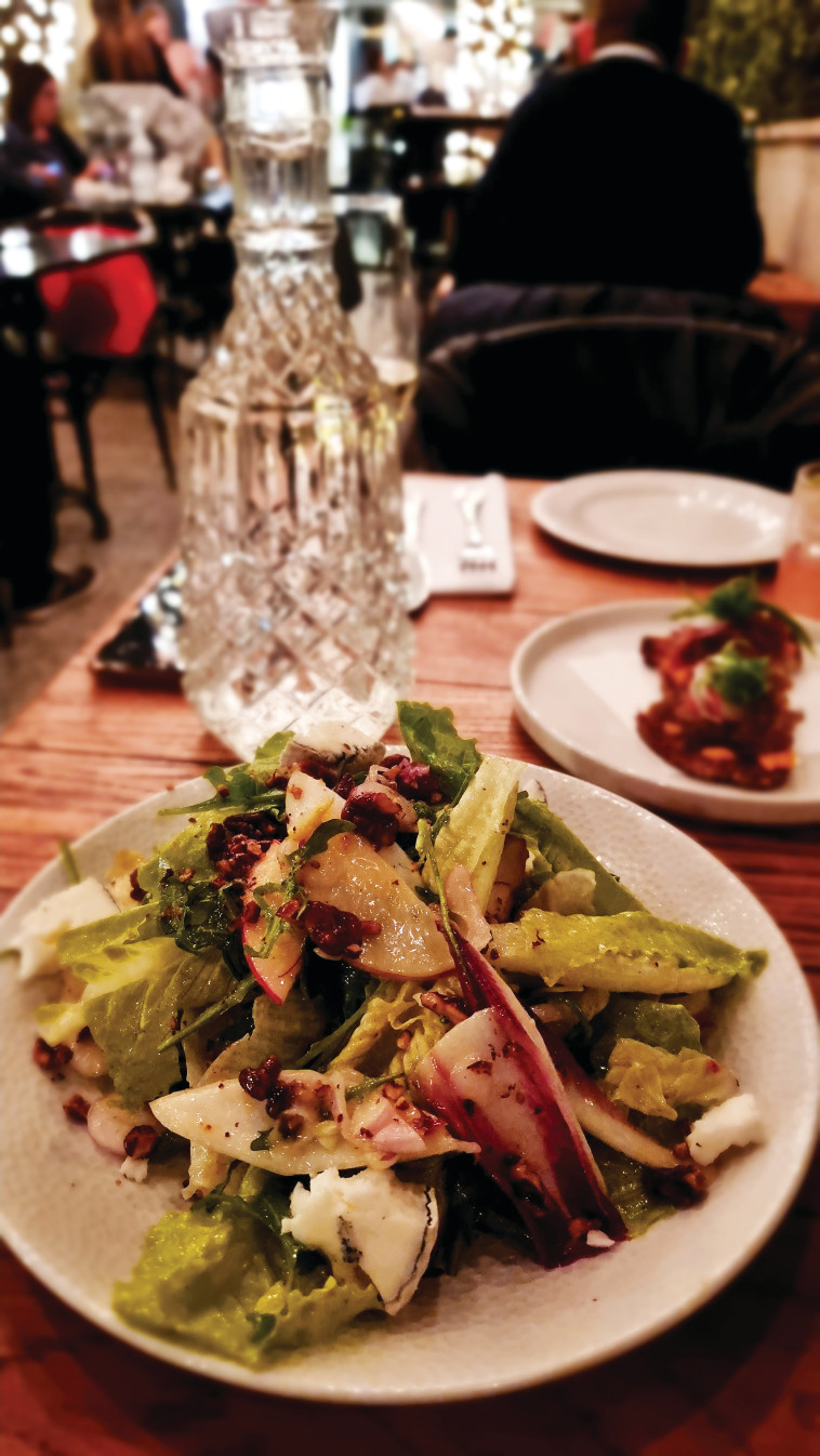 סלט אנדיב. קפה אירופה.