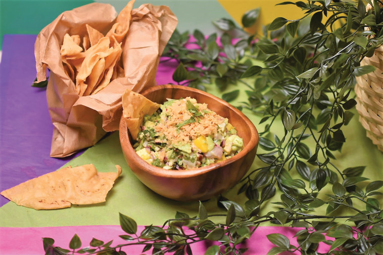 סביצ'ה מקסיקני. סביצ'ה בכרם.