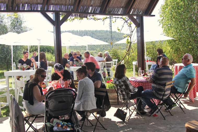 יקב יפו, מטה יהודה