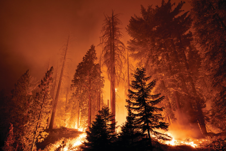 שריפות החורש בקליפורניה (צילום: gettyimages)
