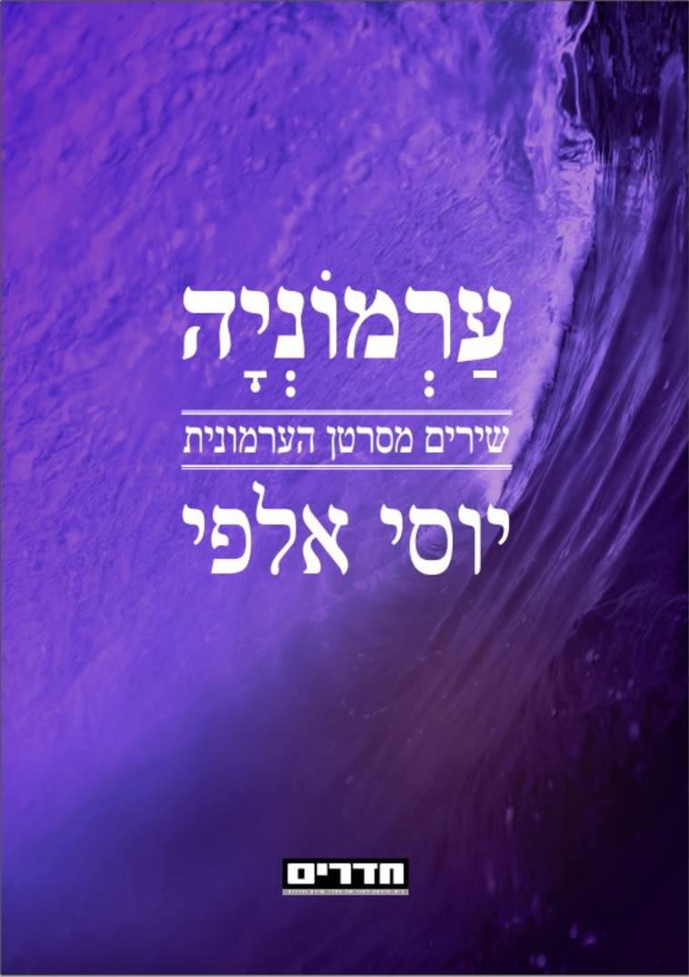 עטיפת הספר