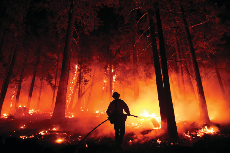 שריפה בקליפורניה (צילום: PATRICK T. FALLON.GettyImages)