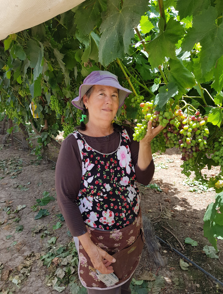 מיכל קאופמן