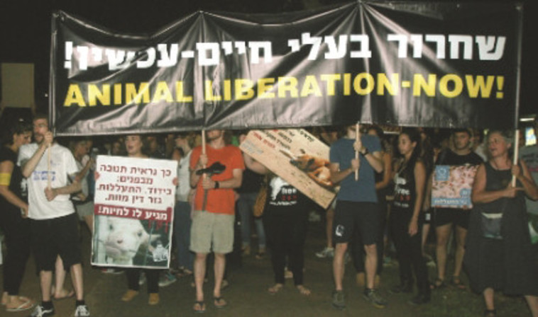 הפגנה בעד צמחונות וטבעונות