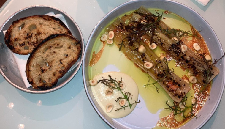 קונפי כרישה צעירה שמזכירה ג'חנון 