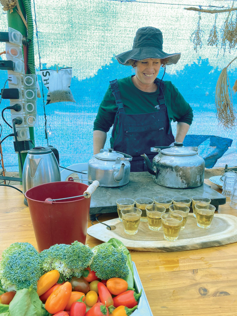 תה בשף השמש