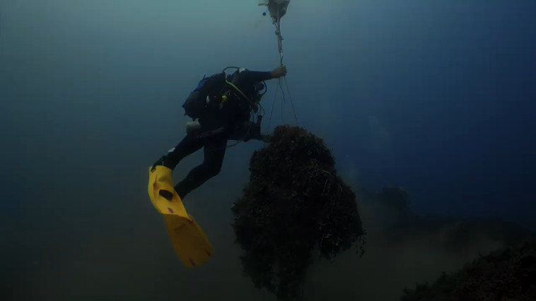 הוצאת רשת רפאים באכזיב