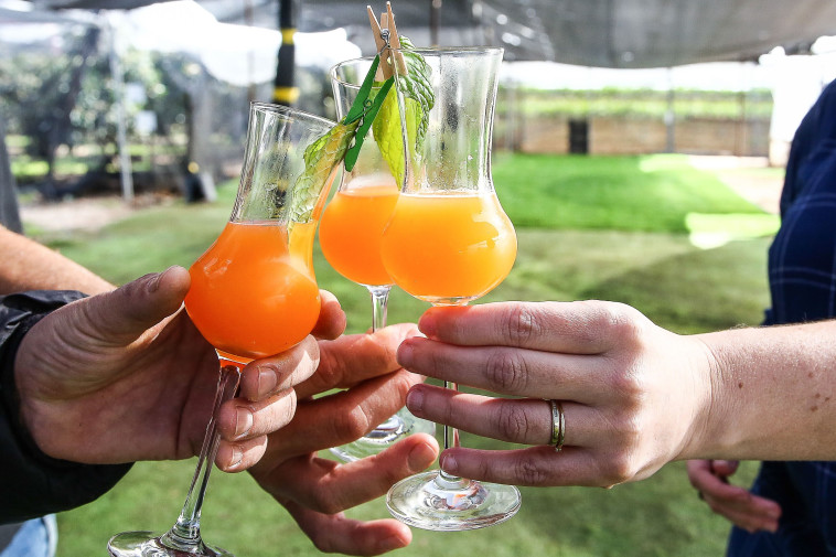 משק אגרונום הפנינג טו בשבט