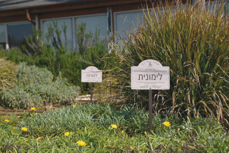 גינת התבלינים במלונות רשת מטיילים