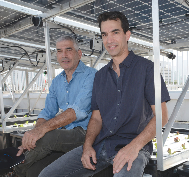 האחים יובל ושמיר עודד