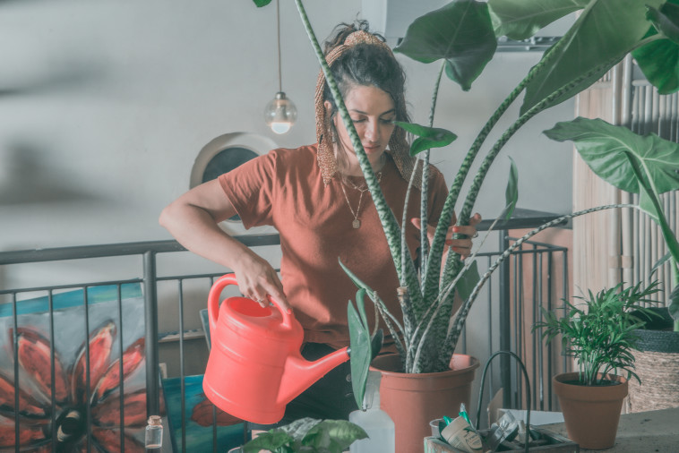 מאי לוי האקדמיה לגידול ביתי