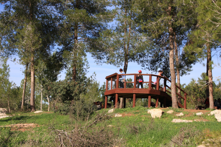 מבקרים ביער בן שמן 