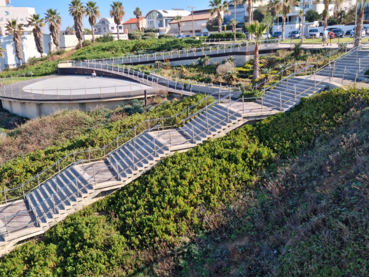 צמחיה בסביבה ימית. שביל הנחש מרינה הרצליה