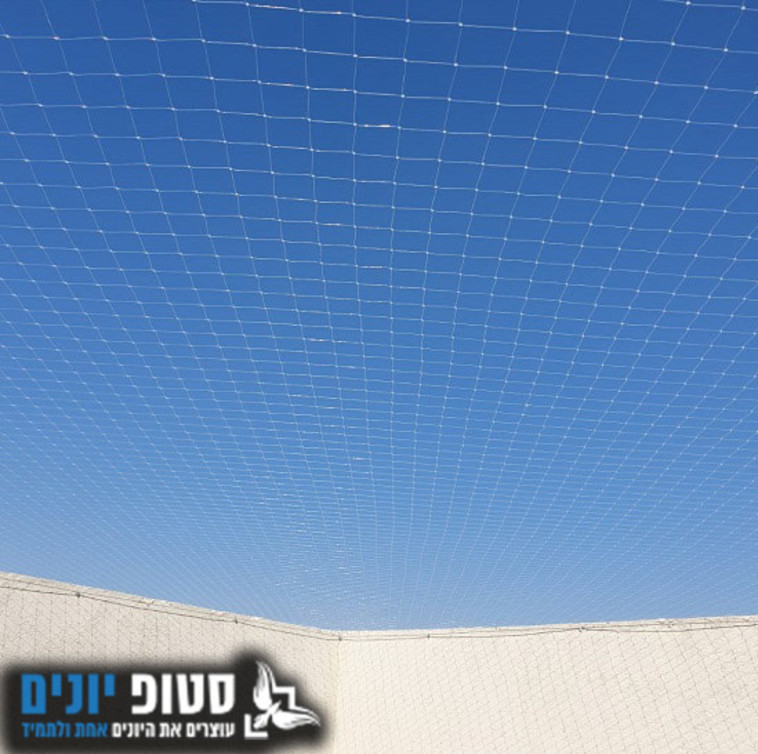 כל מה שצריך לדעת על הרחקת יונים