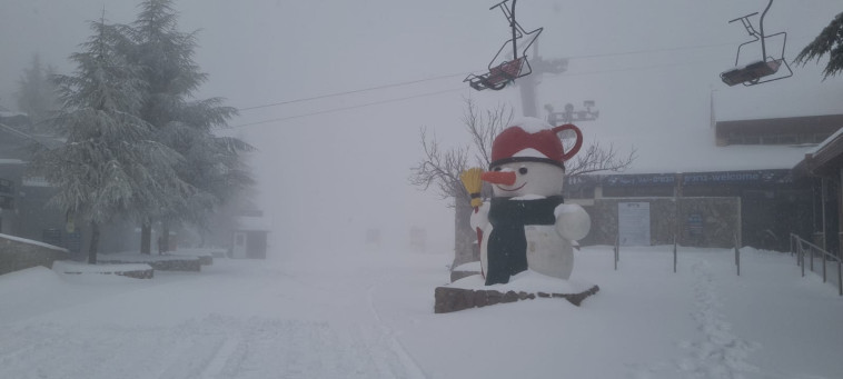 שלג באתר החרמון