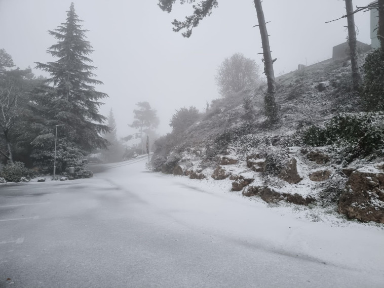 שלג במנרה (צילום: מנרה לודג')