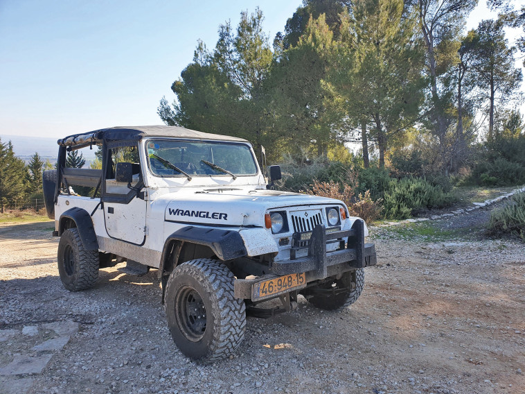 Jeep tours in the Birya forest (Photo: Meital Sharabi)