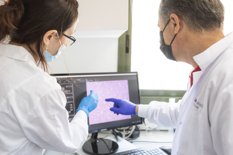 הפיתוח של חברת Aleph Farms