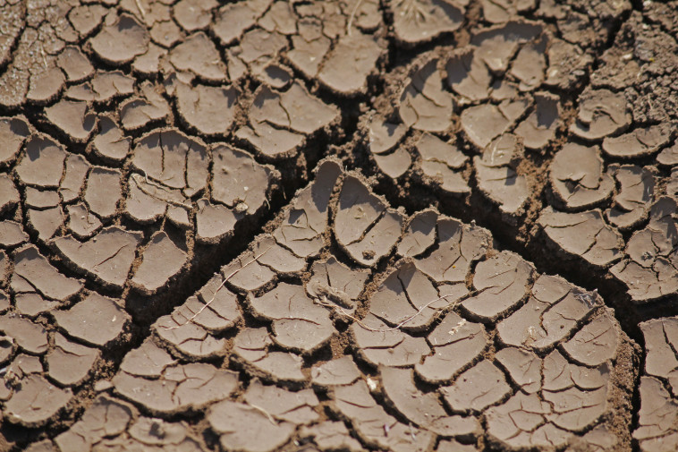 רעידת אדמה (אילוסטרציה)