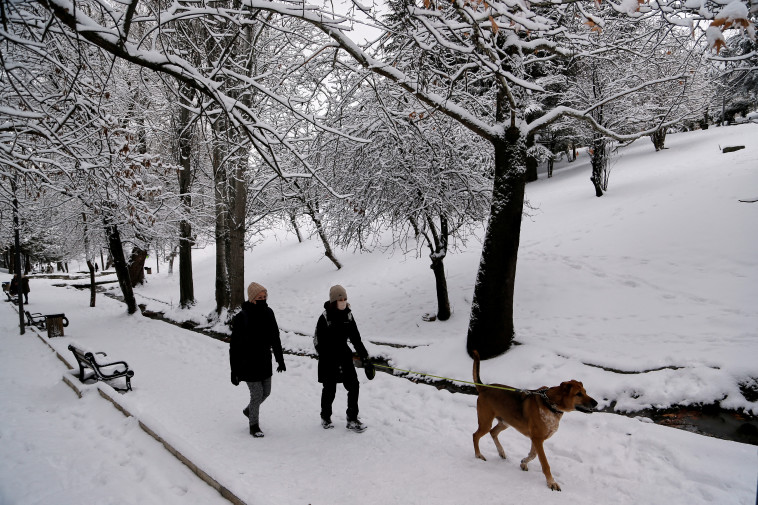 שלג באנקרה (צילום: REUTERS/Cagla Gurdogan)