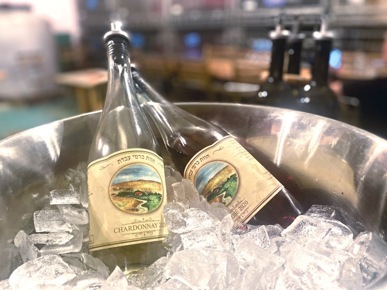 יקב כרמי עבדת