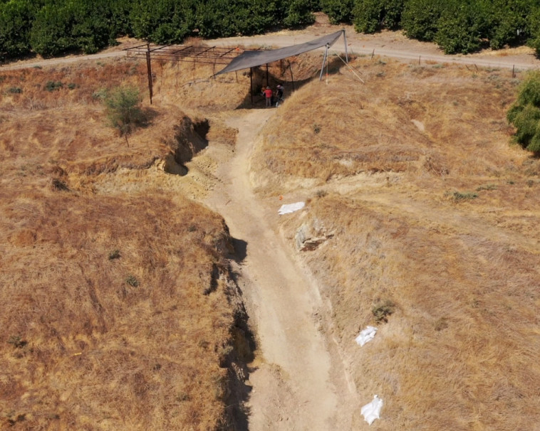 העבודות באתר עובדיה