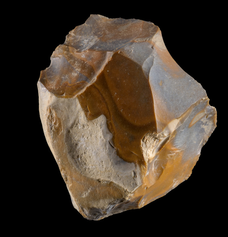 כלי קיצוץ עשוי צור בן 1.5 מליון שנה מעובדיה (צילום: דפנה גזית, רשות העתיקות)