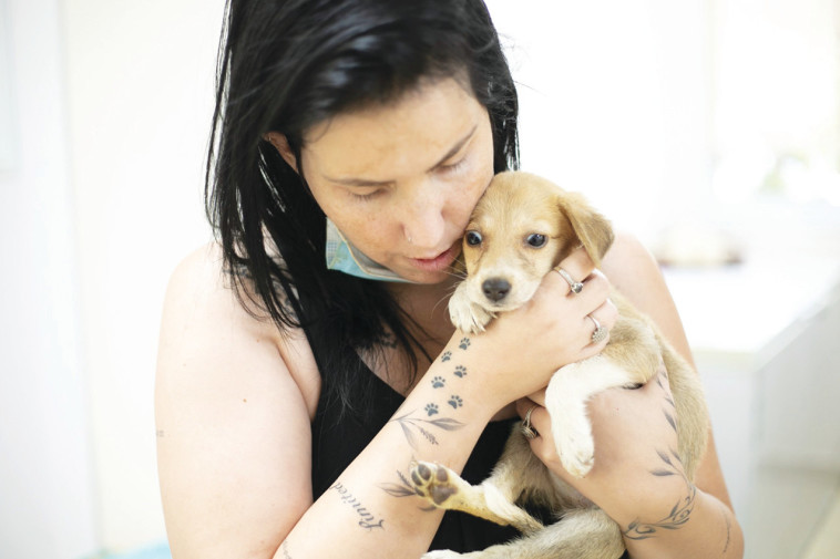 מבצע להצלת כלבים, בקרוב יועברו כלבים וספים