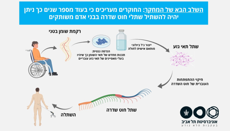 המחקר שבוצע באוניברסיטת תל אביב