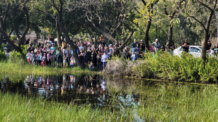 פעילות בתי גידול מימיים בגן הלאומי ירקון תל אפק