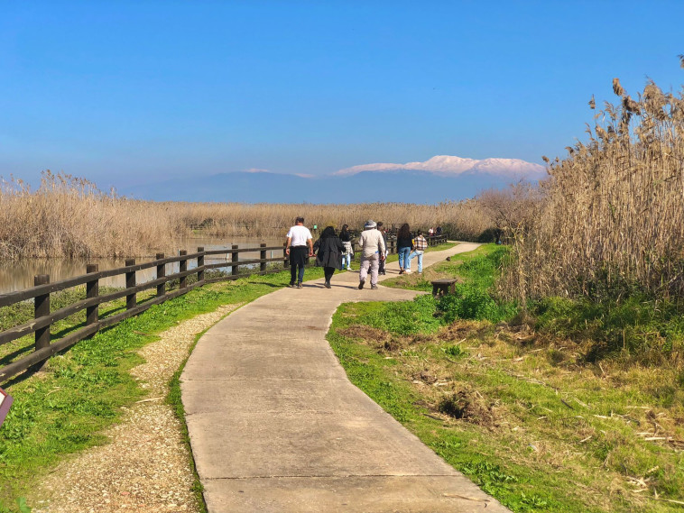 שמורת החולה
