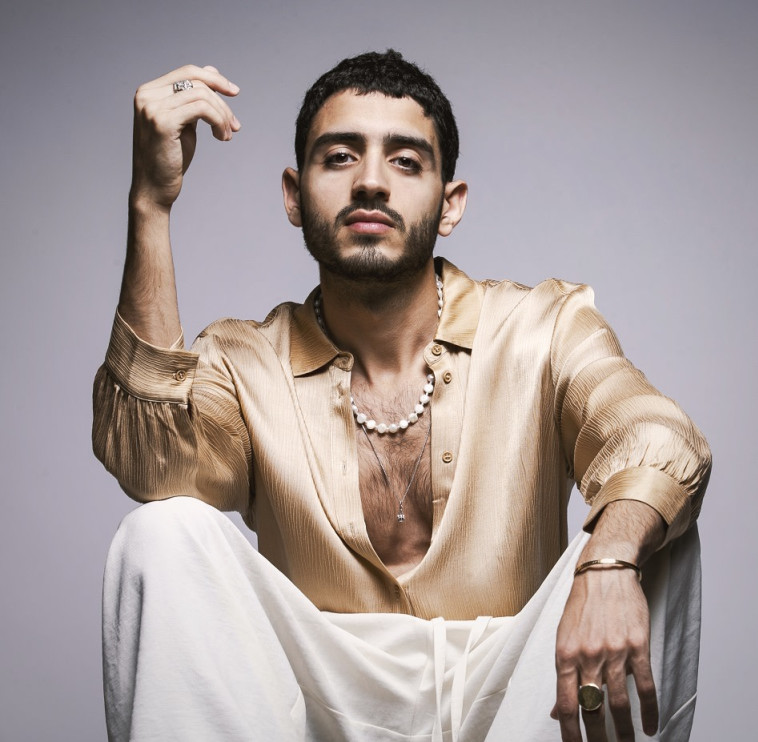 תמיר גרינברג