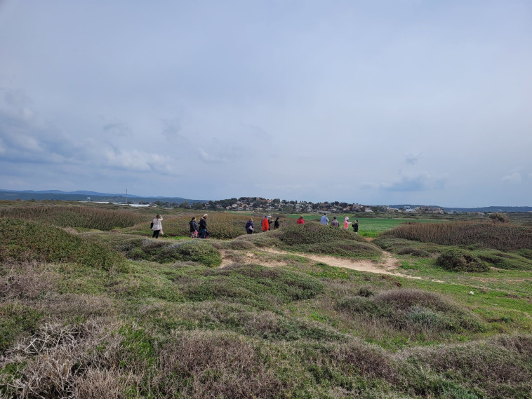 מטיילים בסיור פריחה בשמורת הבונים