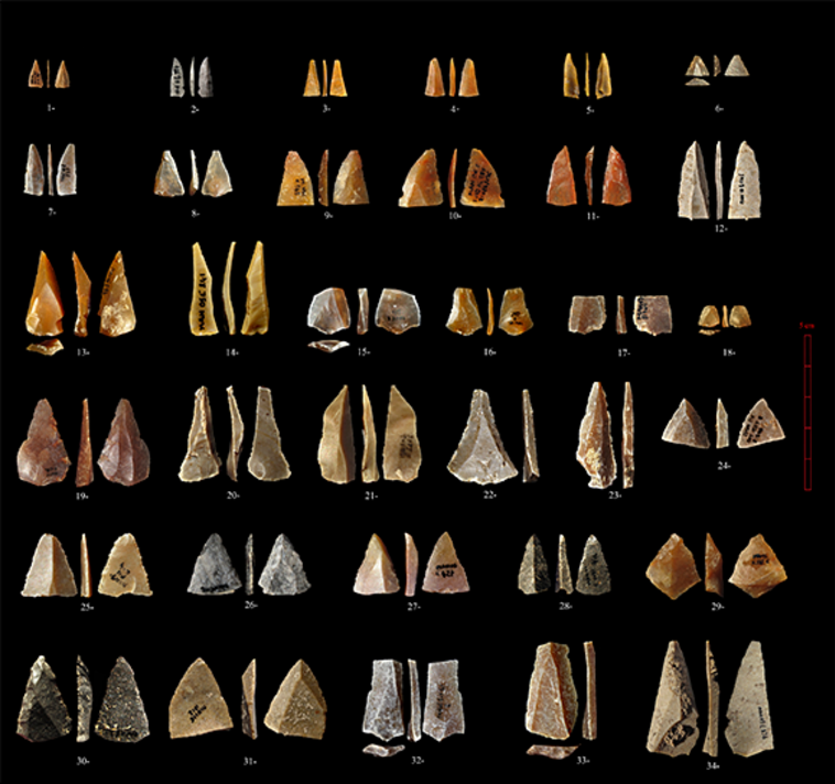 הכלים שהתגלו במערה (צילום: לודוביק סלימאק)