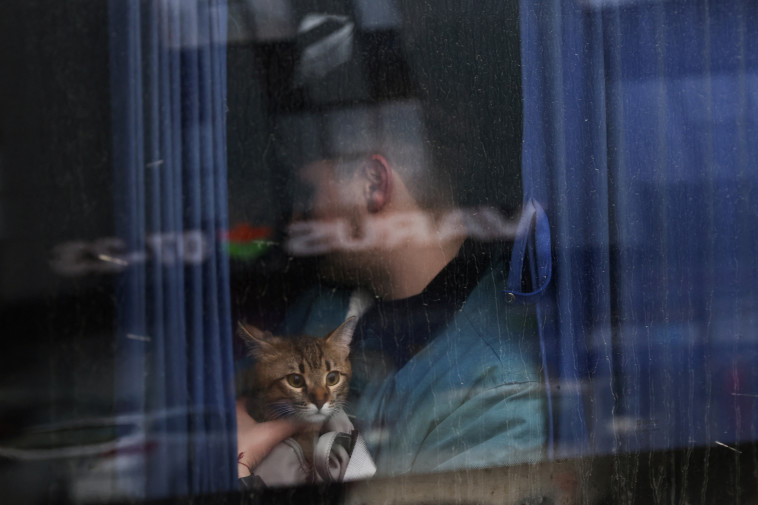 גבר נמלט מקייב ביחד עם החתול שלו (צילום: REUTERS/Umit Bektas)