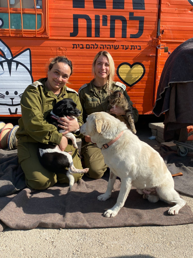 מבצע ''חורף חם''