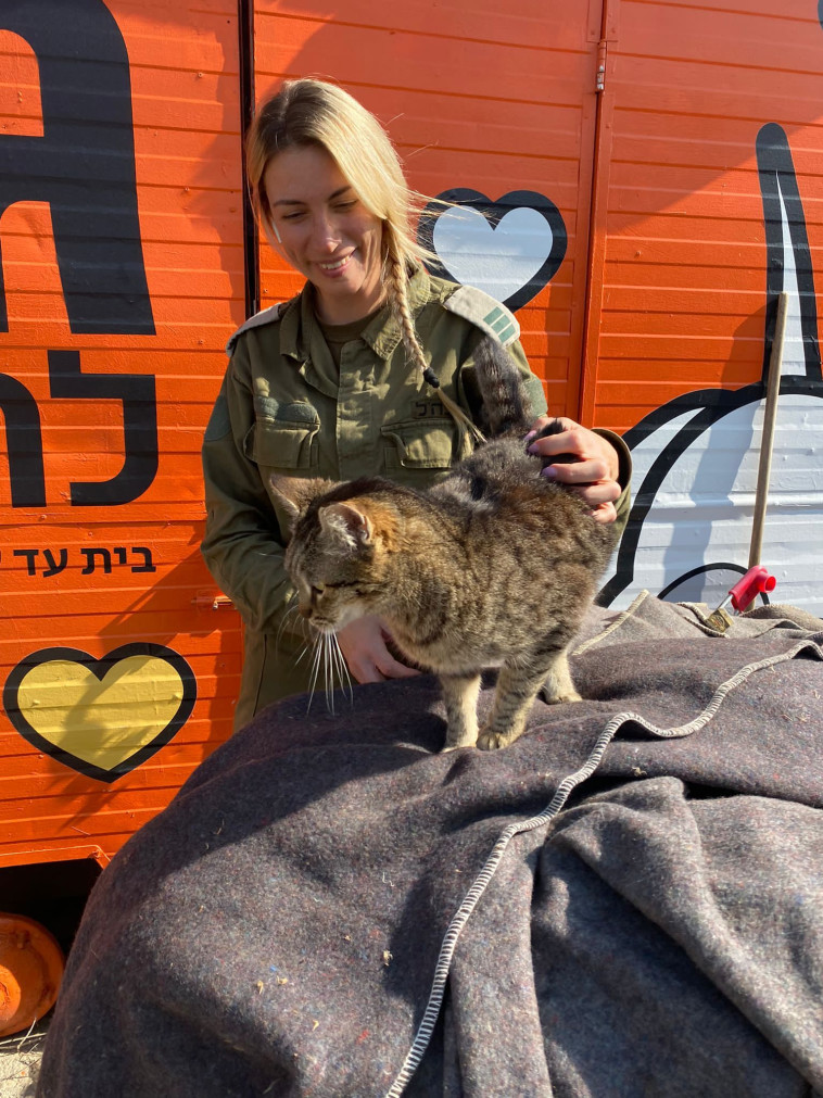 מבצע ''חורף חם''