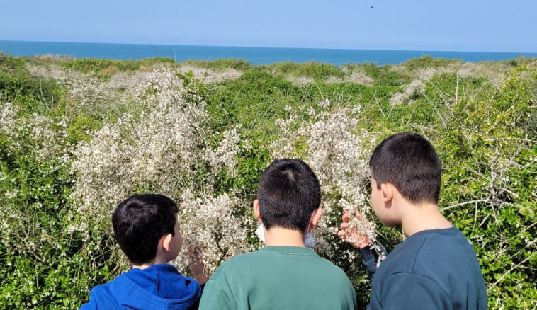 מטיילים בשבת השמשית
