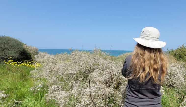 מטיילים בשבת השמשית