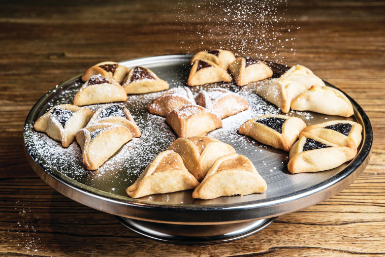 אוזני המן טאטי &amp; אילאנס 