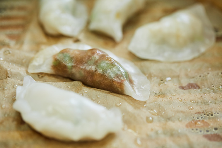 ביס של שלמות . הכנת גיוזה בבה''ס בישולים