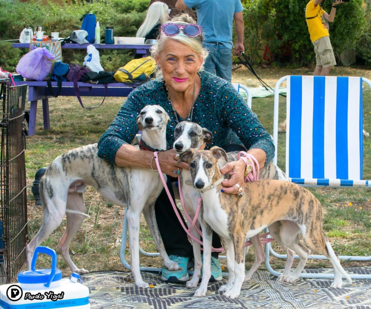 תערוכת הכלבים הבינלאומית של ההתאחדות לכלבנות 2021