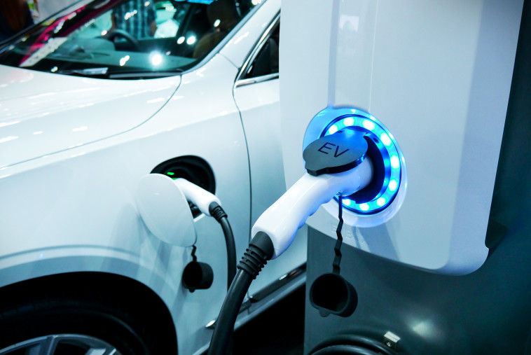 ליסינג פרטי לרכבים חשמליים. Avis (צילום: Shutterstock)