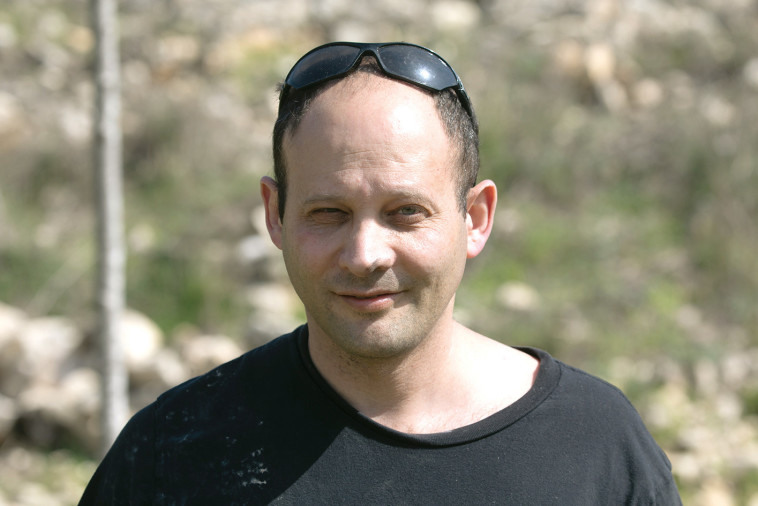 חנוך שייביץ 