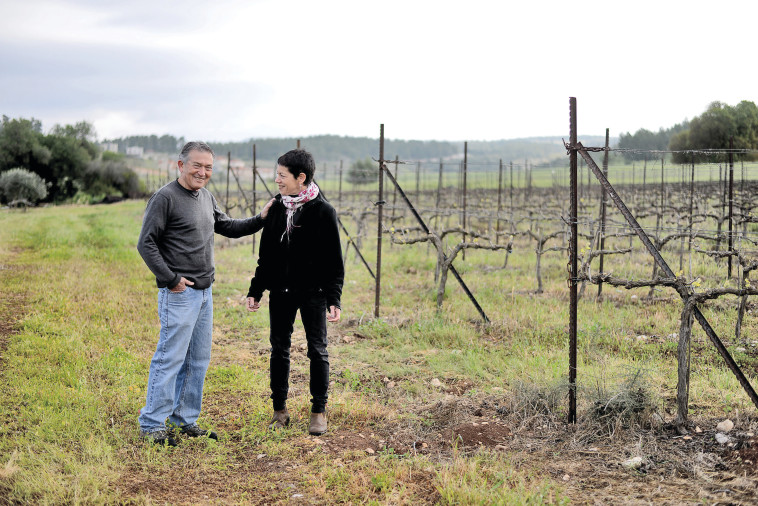 יקב צפרירים