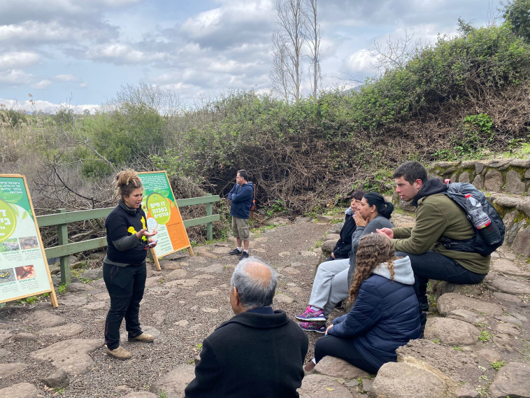 מטיילים בשמורת הטבע תל דן 