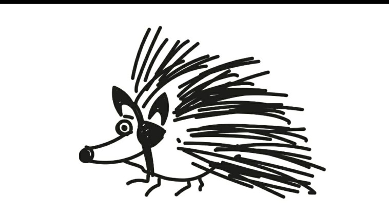 הקיפוד של נדיר האקרמן מ''ארץ נהדרת''