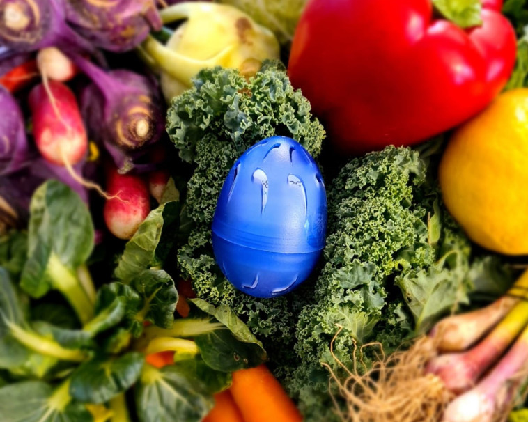 ביצת הפלא למקרר של Green Flash