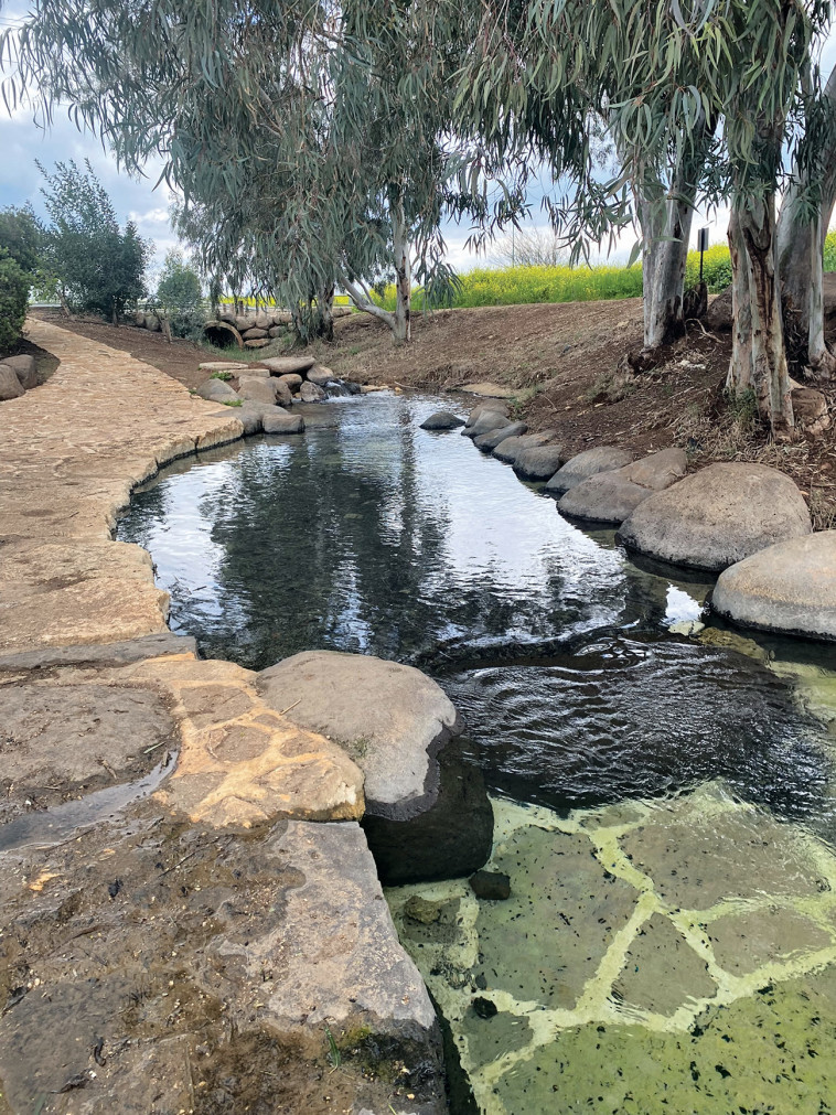 בריכת שכשוך חורשת גדעון