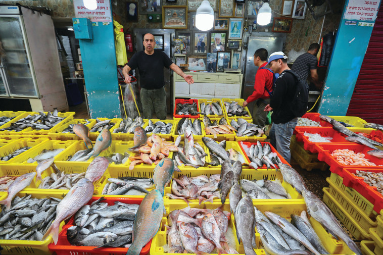 דגים בשוק (צילום: יעקב לדרמן פלאש 90)